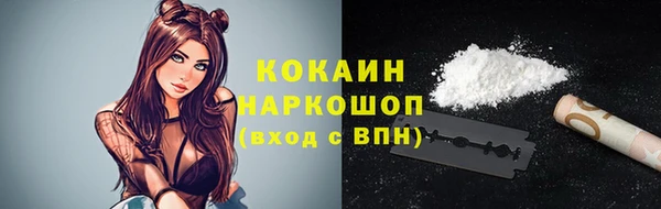 индика Протвино
