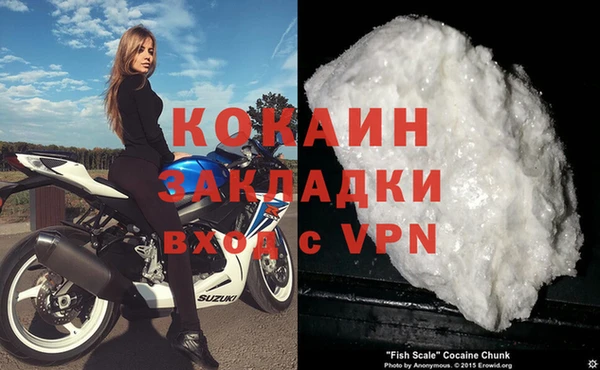 сатива Абинск