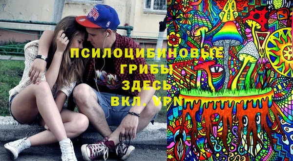 сатива Абинск
