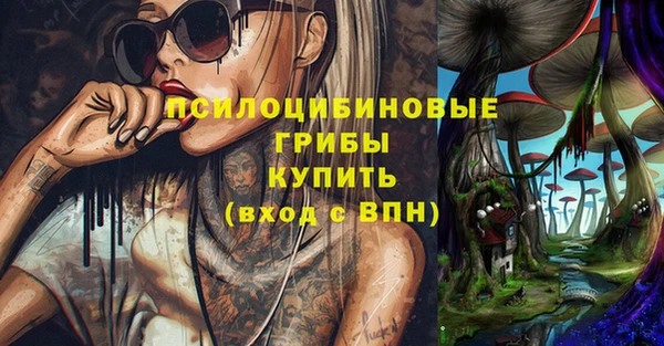 трава Абаза