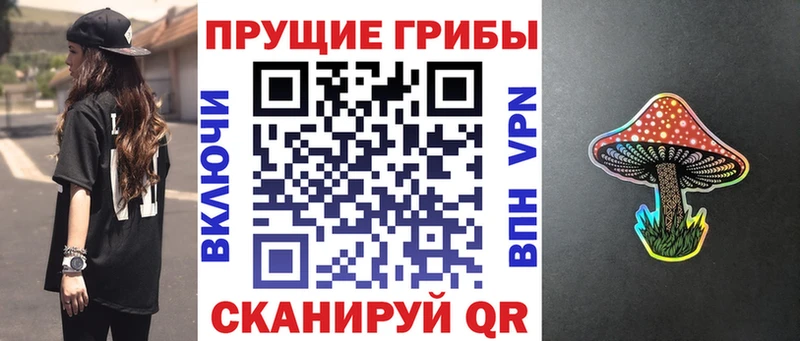 цена   Кедровый  Псилоцибиновые грибы Cubensis 