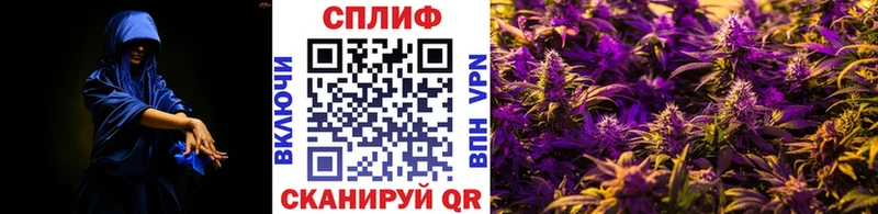 Бошки Шишки сатива  это официальный сайт  Кедровый  гидра ссылка 
